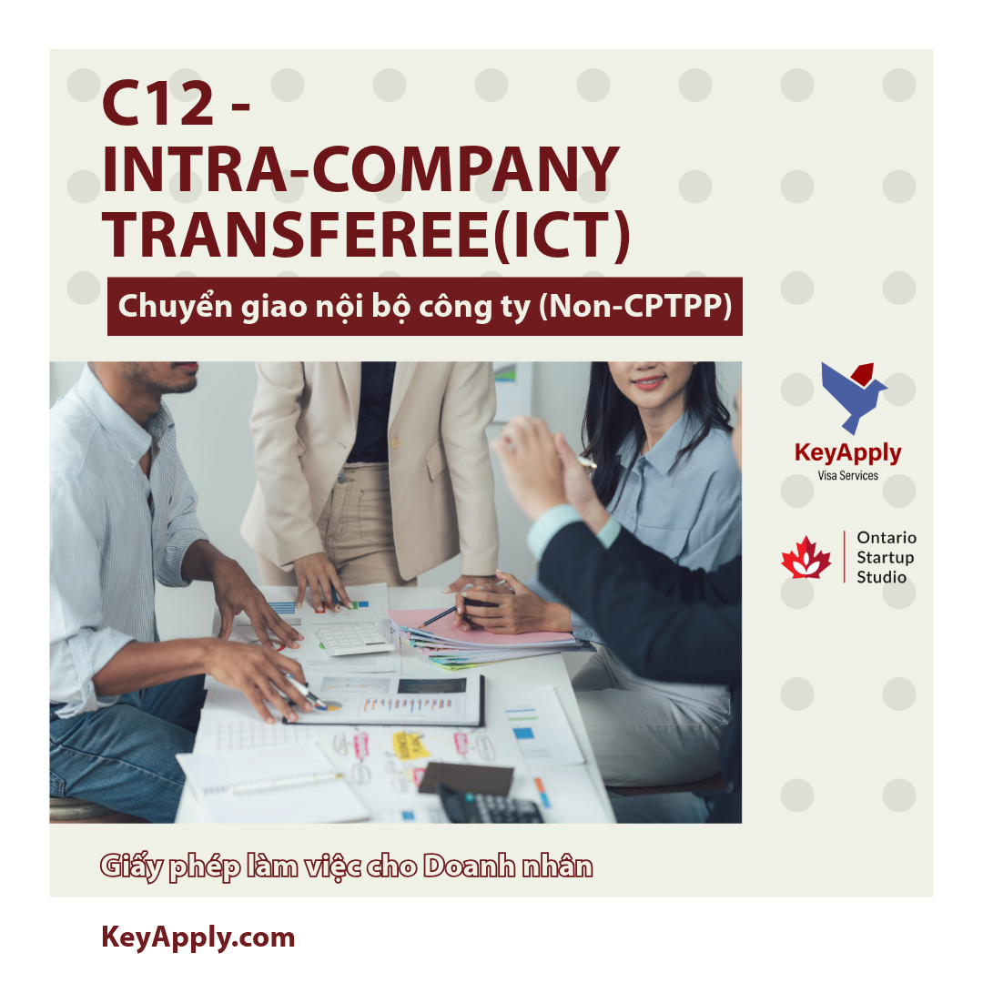 C12 - Intra-company transferee (ICT), Chuyển giao nội bộ công ty (Non-FTA)