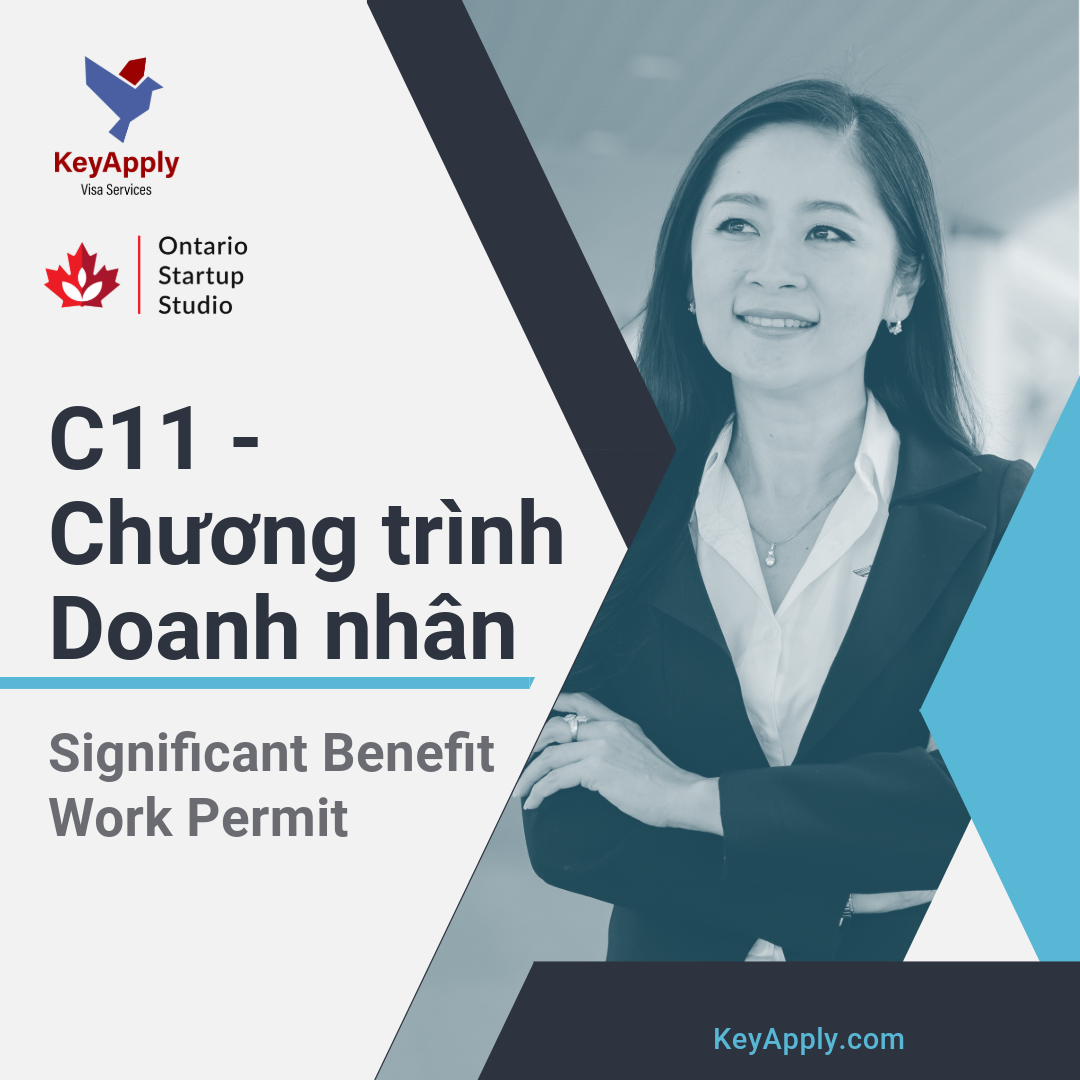 C11 - Giấy phép lao động chủ doanh nghiệp